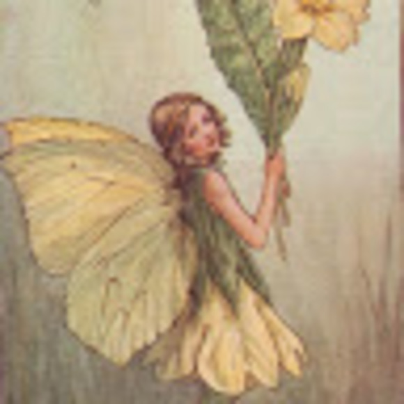 Meet your Posher, Cole - Picture 1 of 1